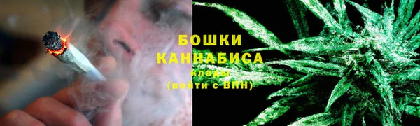 прущие грибы Вязьма