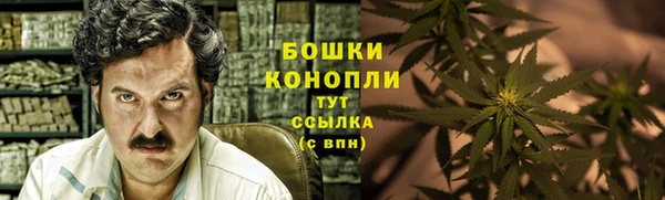 ALPHA PVP Елизово