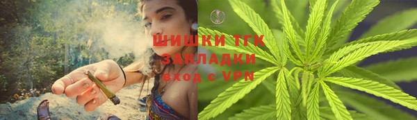 ALPHA PVP Елизово