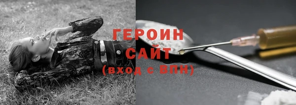 хмурый Ельня