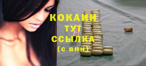хмурый Ельня