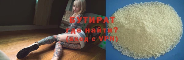 хмурый Ельня