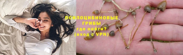 ALPHA PVP Елизово