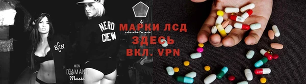ALPHA PVP Елизово