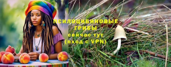 хмурый Ельня