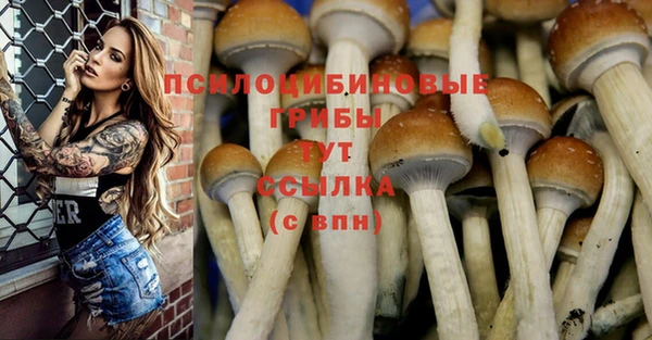 хмурый Ельня