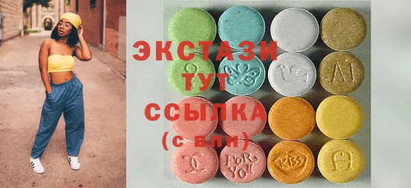 хмурый Ельня
