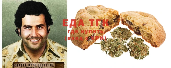 хмурый Ельня