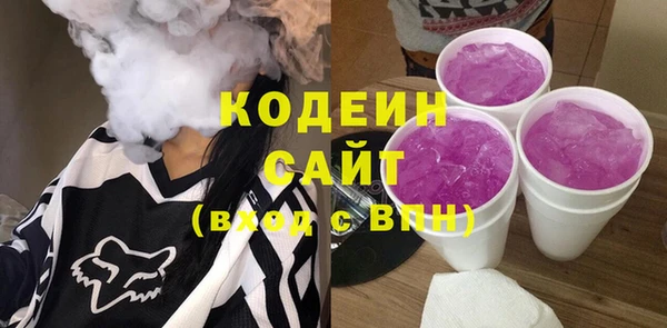хмурый Ельня