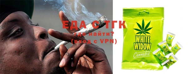 хмурый Ельня
